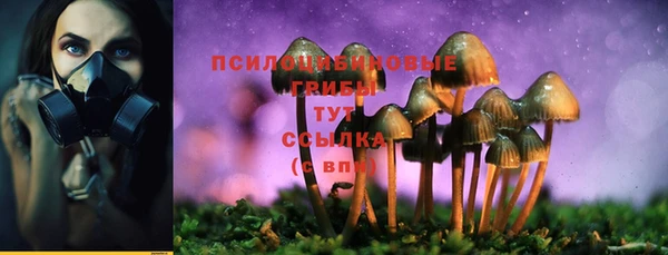 эйфоретик Арсеньев