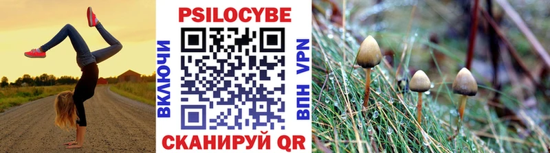 Галлюциногенные грибы мицелий  Саки 